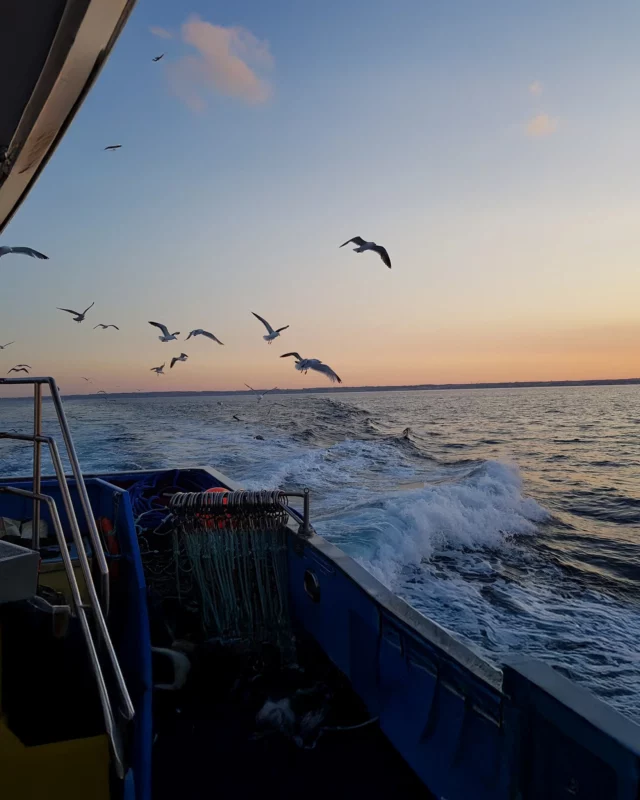 Chez Connétable, préserver la mer, c’est une tradition.

Depuis plus de 20 ans, Connétable s’engage pour une pêche responsable :
👉🏼 Choix de méthodes de pêche sélectives, comme la bolinche, respectueuses des espèces et des fonds marins.
👉🏼 Respect des saisons et des cycles de reproduction pour préserver les stocks.
👉🏼 Partenariat avec des pêcheurs engagés et certifiés, dans une logique durable.

En cette Journée mondiale des océans, continuons à faire le choix d’une pêche plus vertueuse.🐟