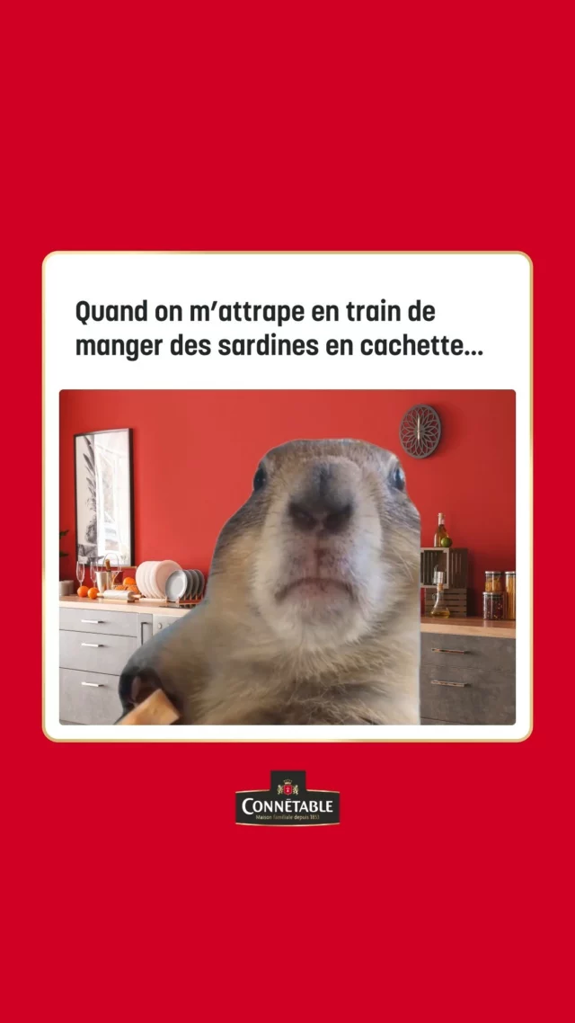 Mince ! Démasqué ! 😳
